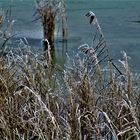  Winter am See