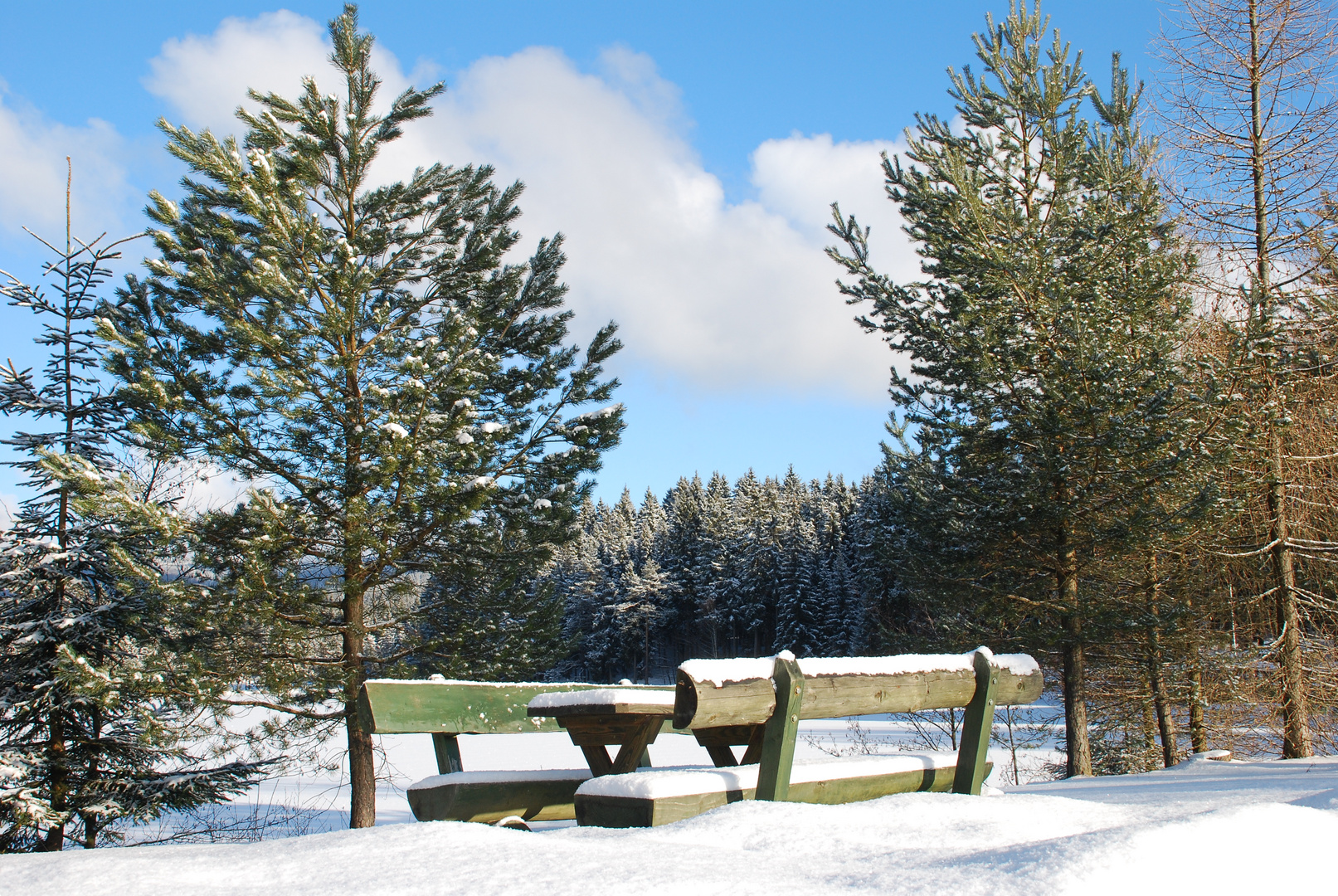 Winter am See