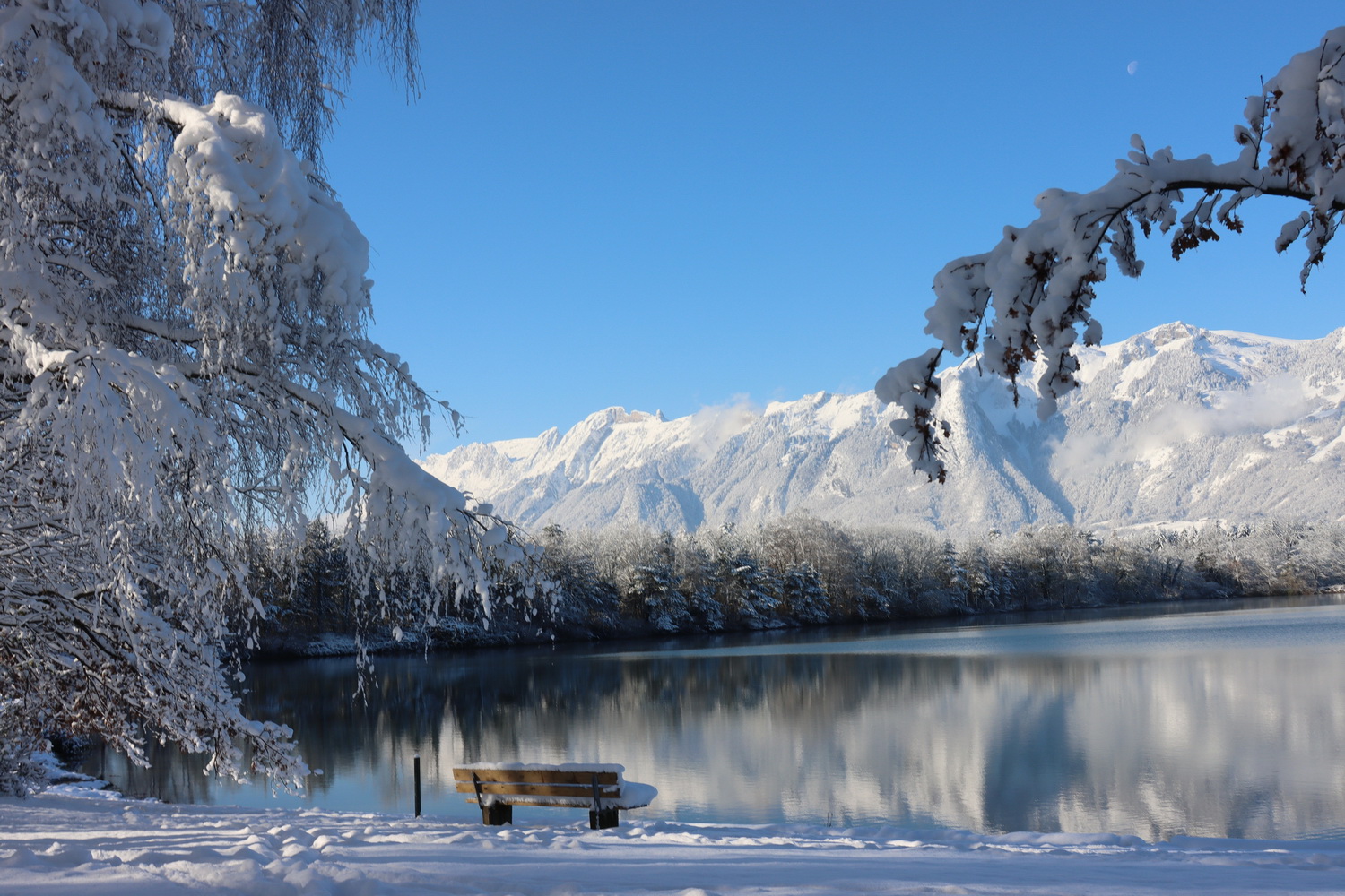 Winter am See