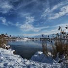 Winter am See.