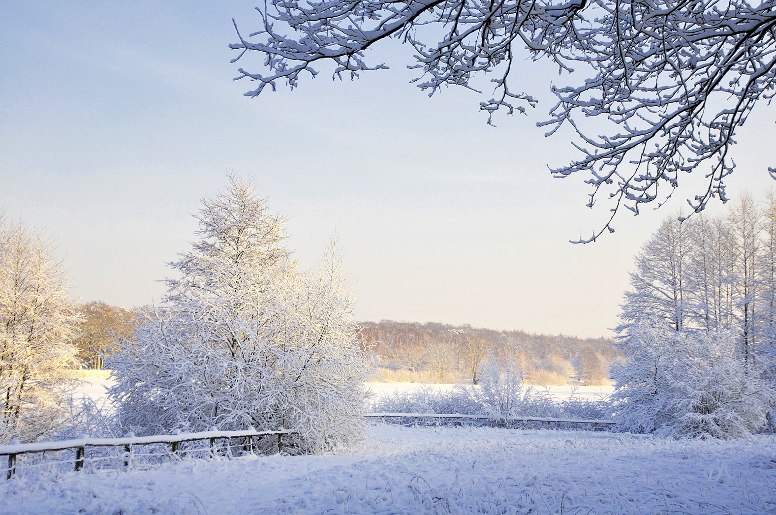 Winter am See