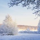 Winter am See