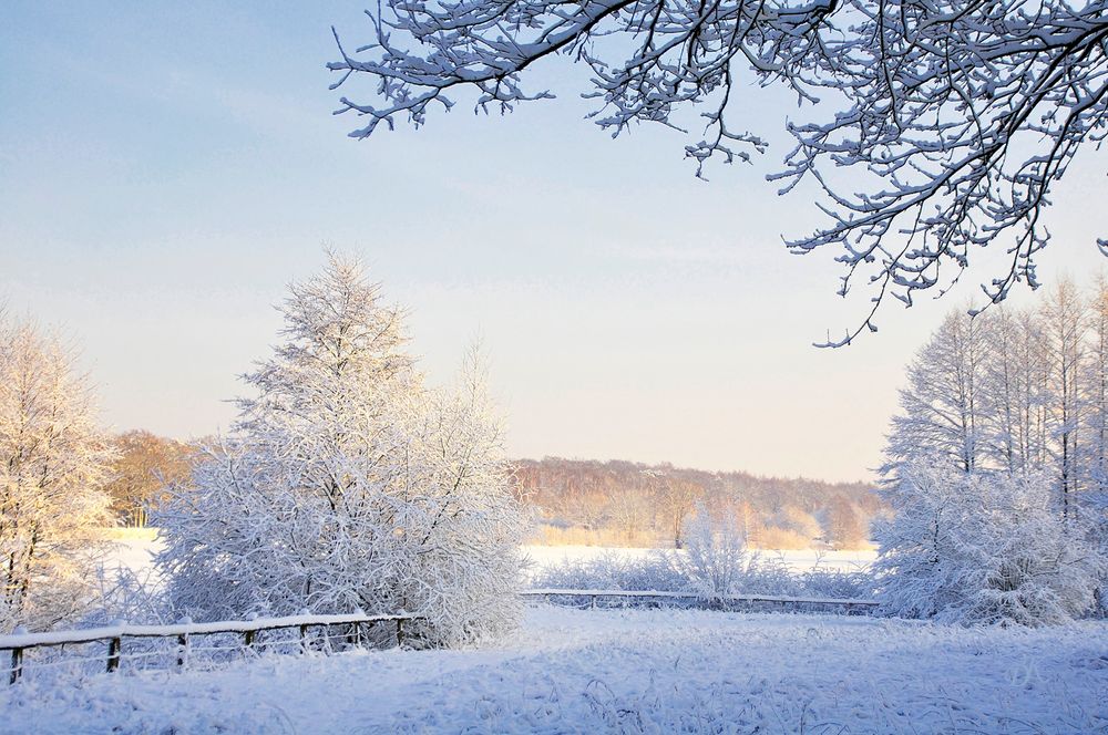 Winter am See