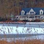 Winter am See