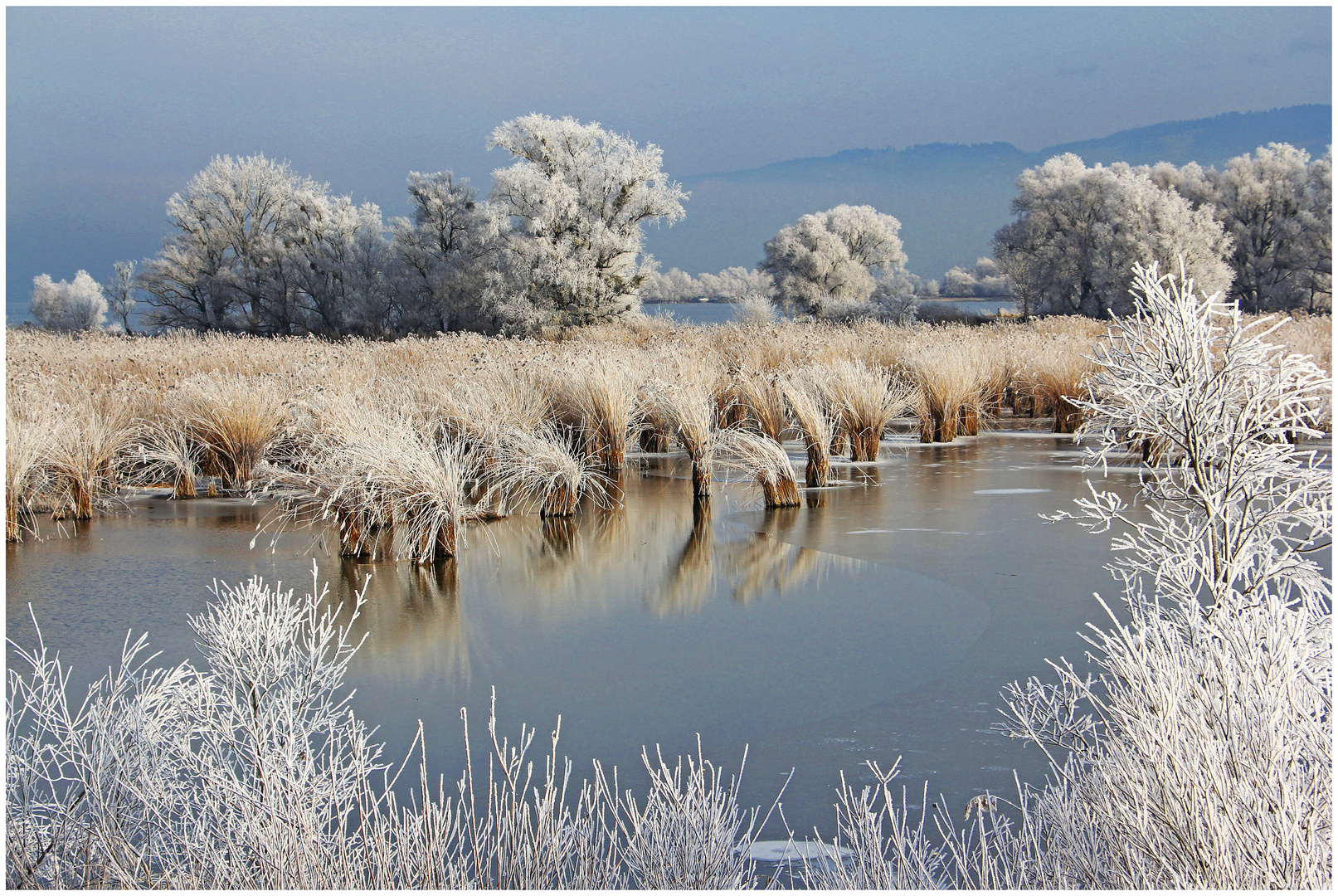 Winter am See