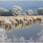 Winter am See