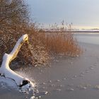 Winter am See