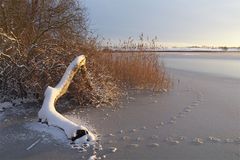 Winter am See