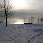 Winter am See