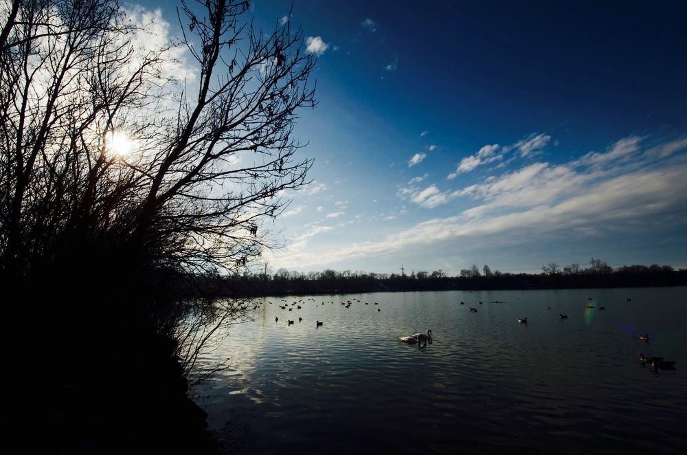 Winter am See