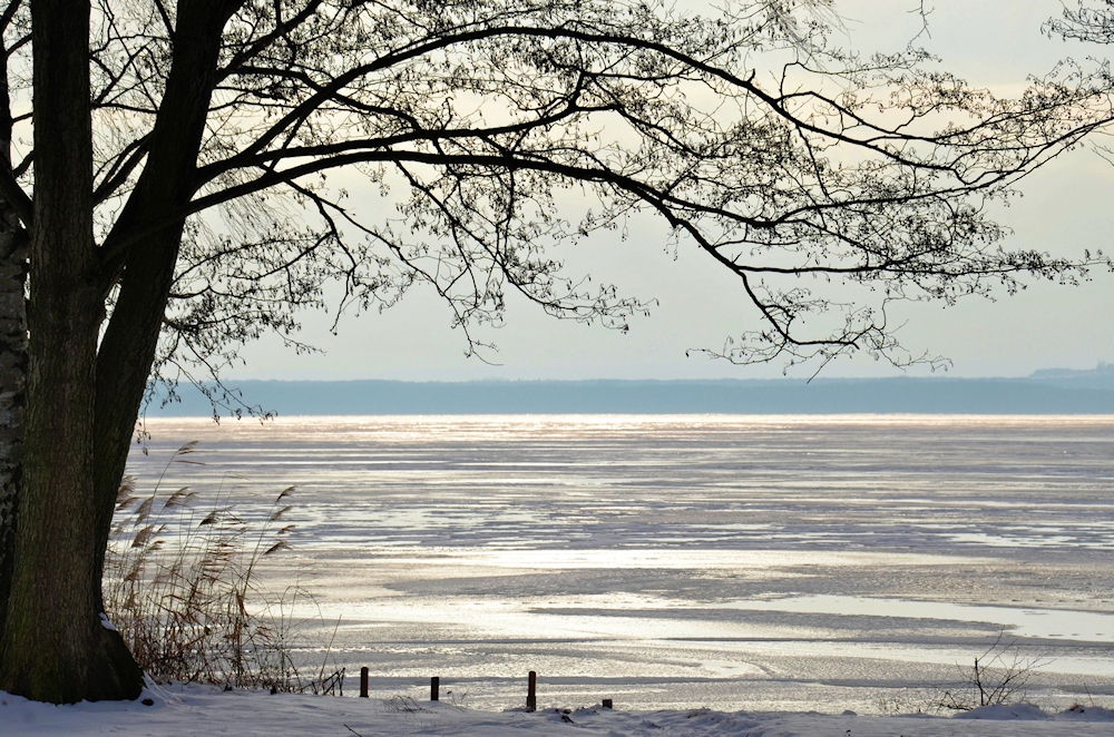 Winter am See...