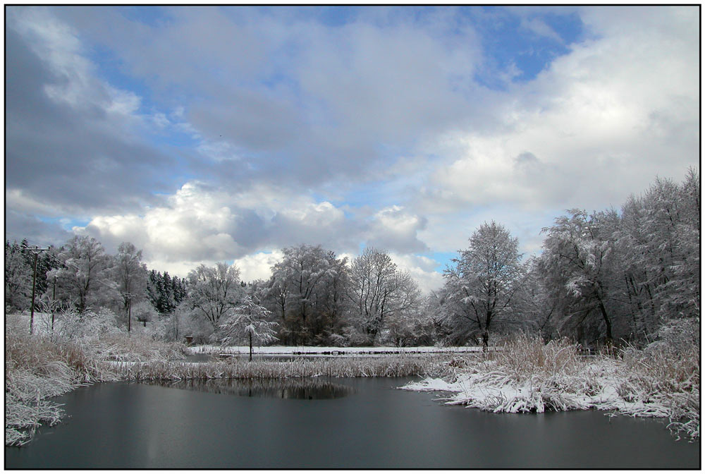 Winter am See