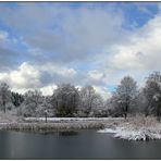 Winter am See