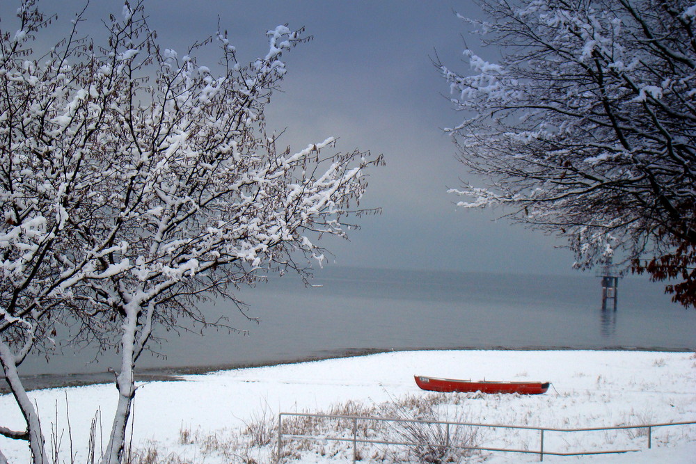 Winter am See