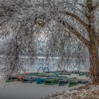 Winter am See