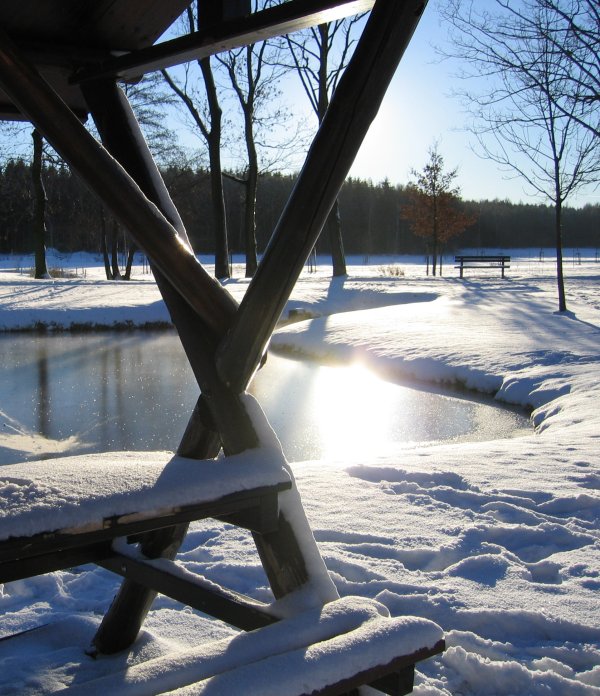 Winter am See