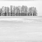 Winter am See