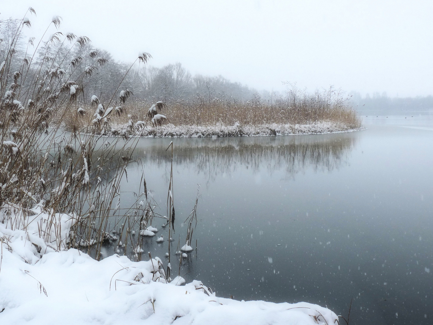 Winter am See