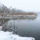 Winter am See