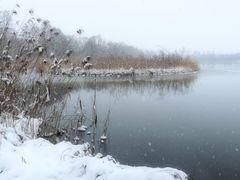 Winter am See