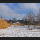 Winter am See