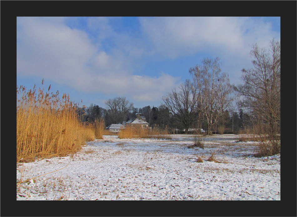 Winter am See