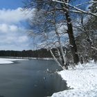 Winter am see