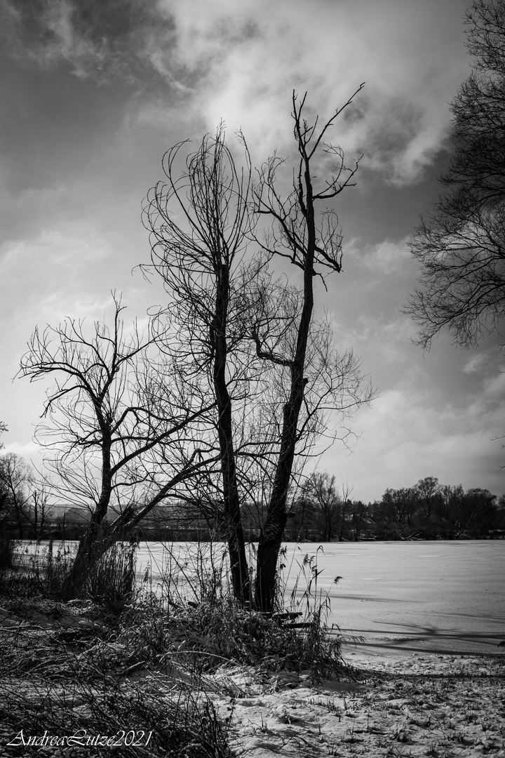 Winter am See 