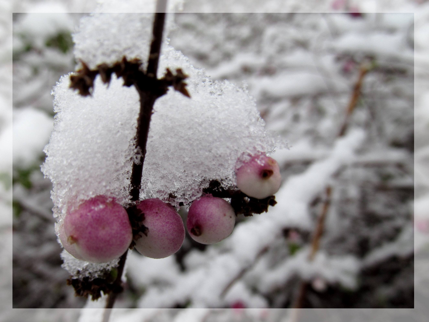 Winter am See ... 