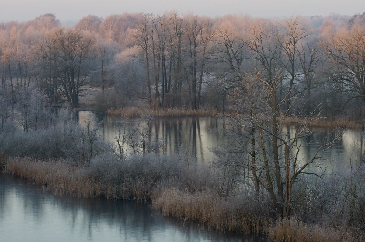 Winter am See