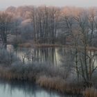 Winter am See