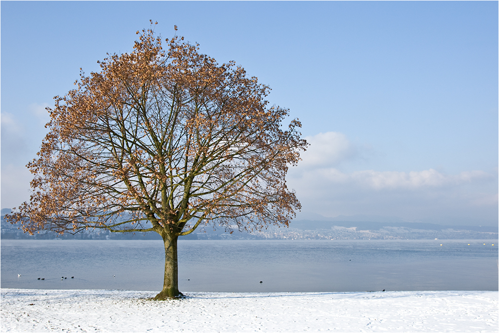 Winter am See bei minus 14°C