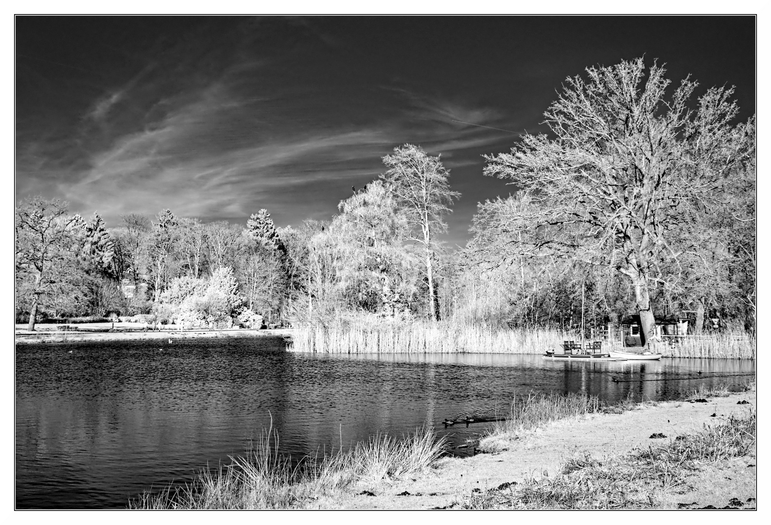 Winter am See