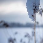 Winter am See