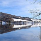 Winter am See