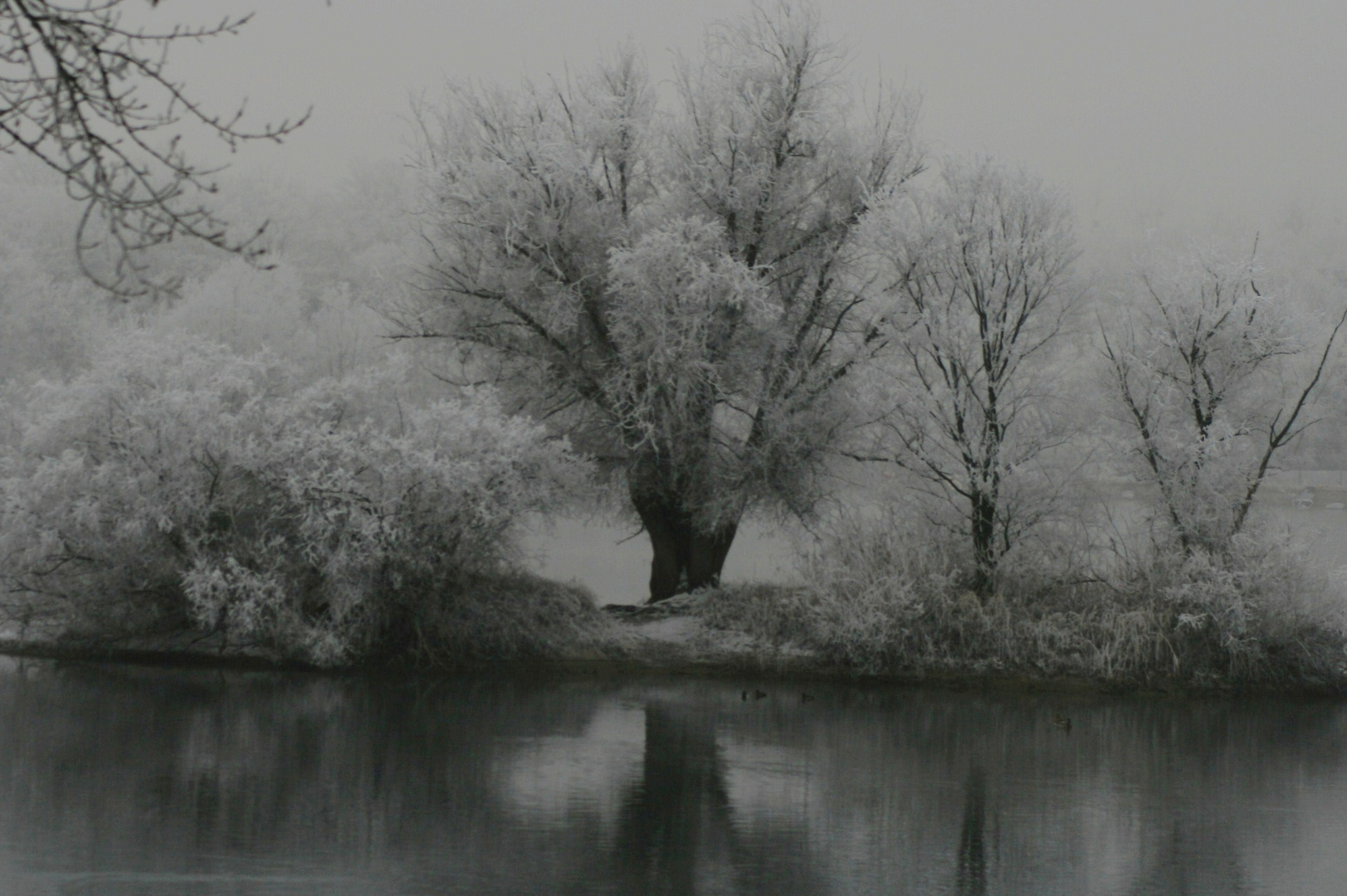 Winter am See...