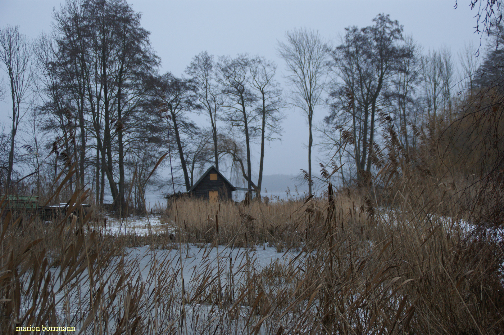 Winter am See