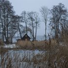 Winter am See