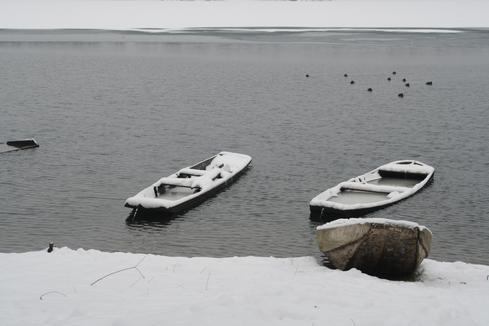 Winter am See