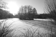 Winter am See