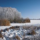 Winter am See