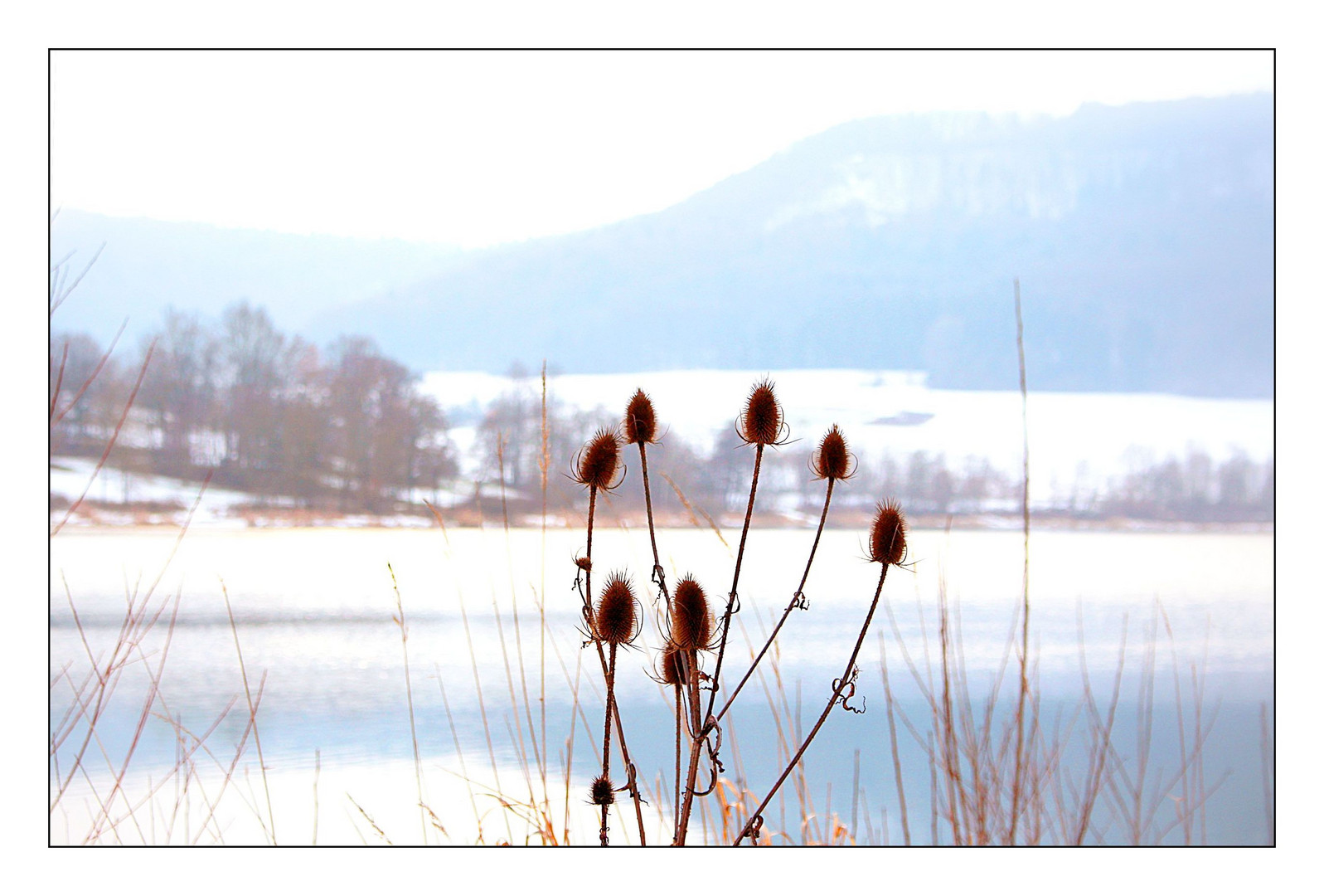 Winter am See