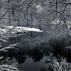 WINTER AM SEE