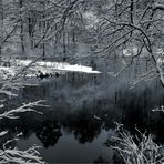 WINTER AM SEE