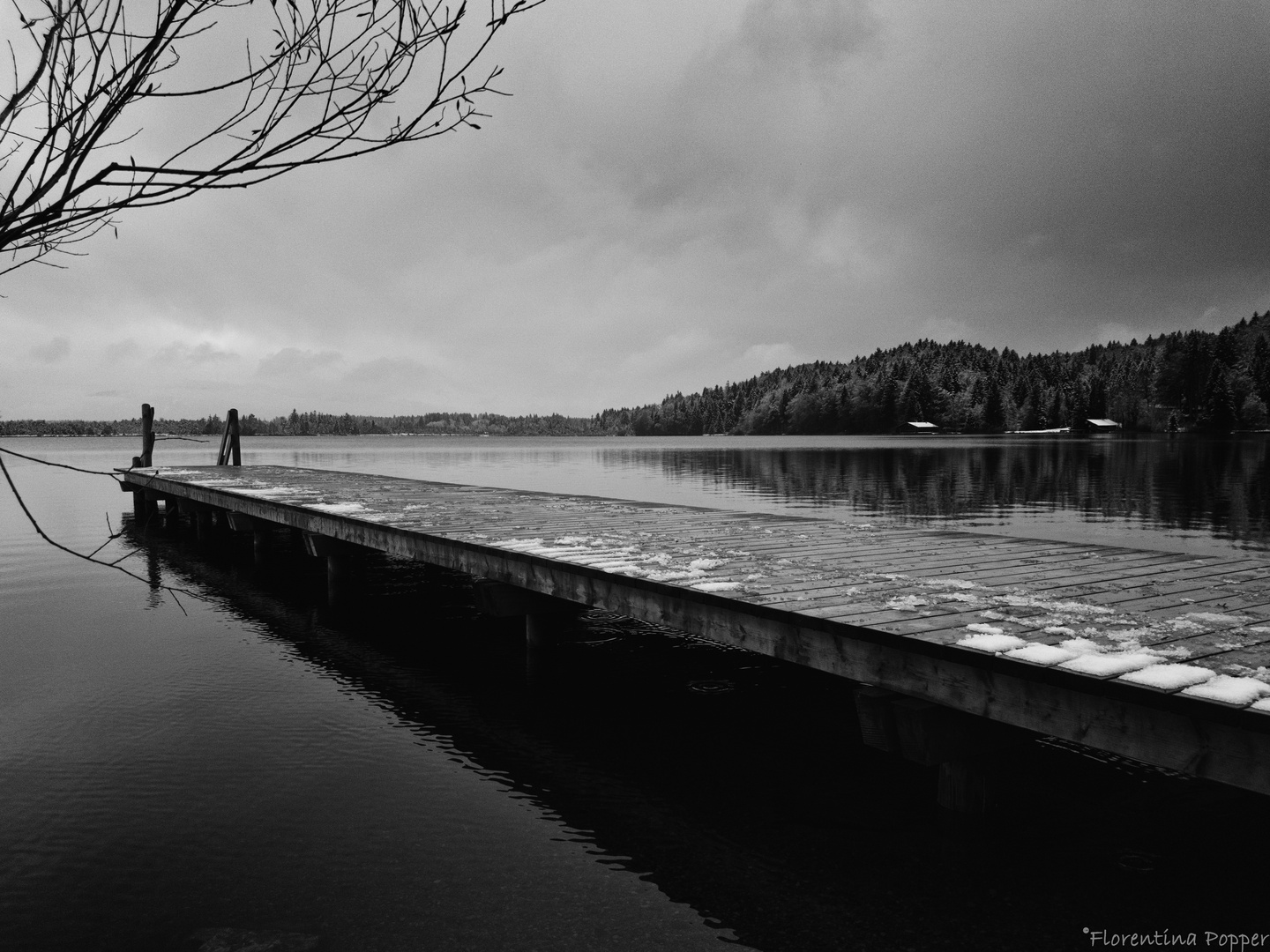 Winter am See