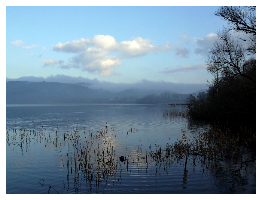 Winter am See