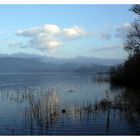 Winter am See