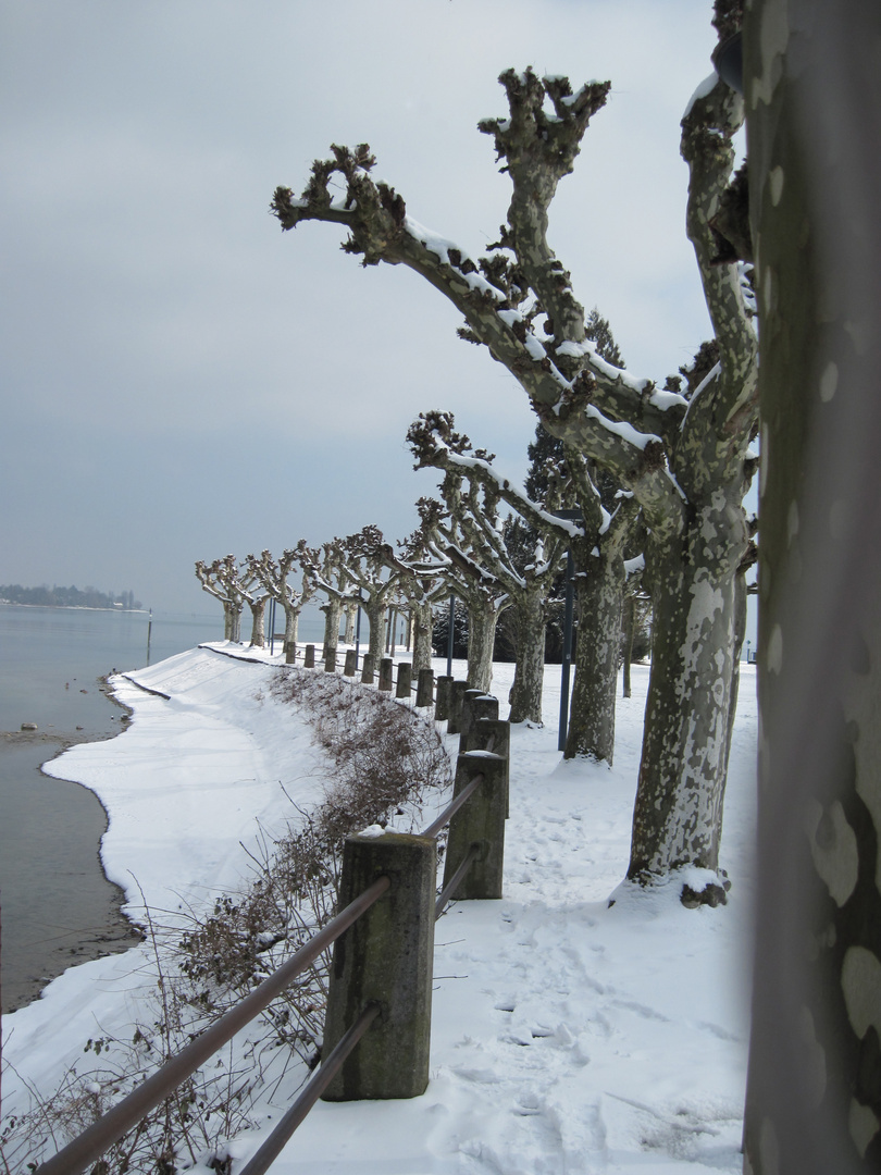 Winter am See