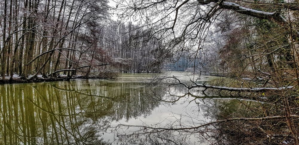 Winter am See