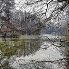 Winter am See